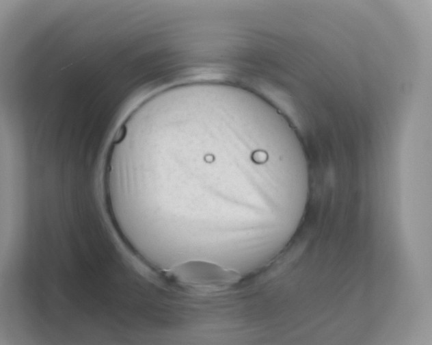 X0000111391475200907311104