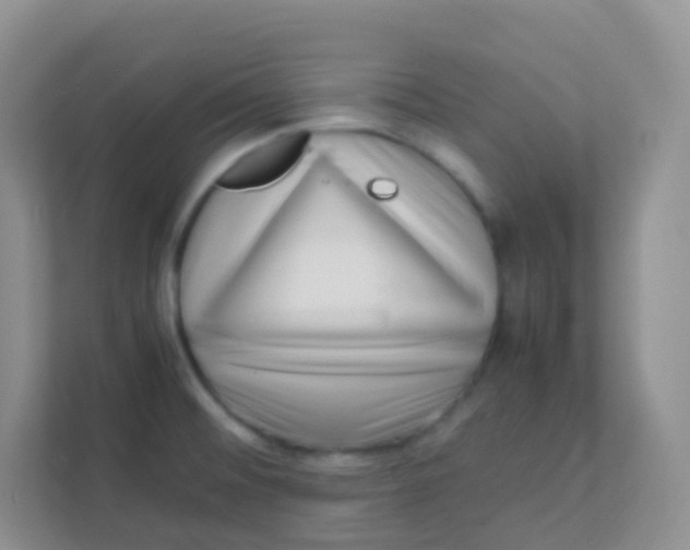 X0000111391476200907311104