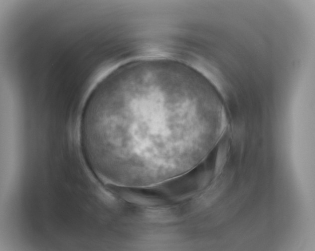 X0000111391477200907311104