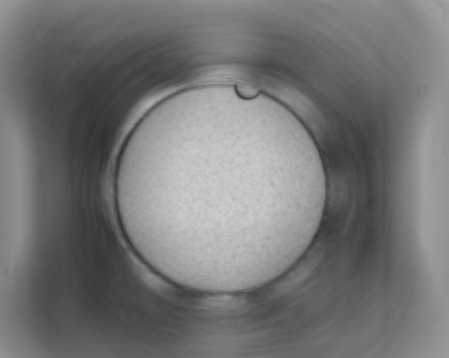 X0000111391478200907311104