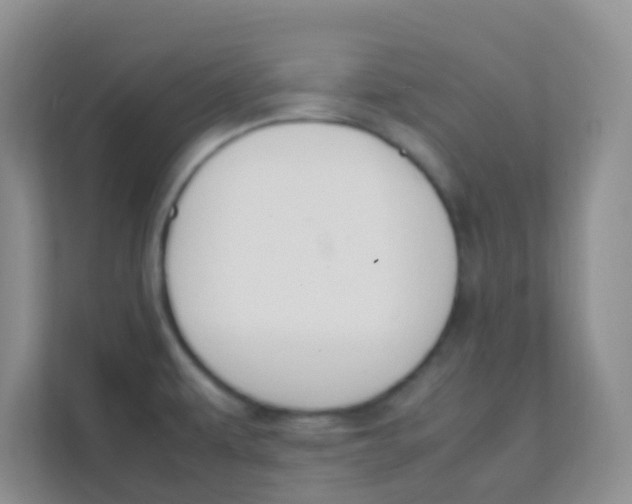 X0000111391479200907311104