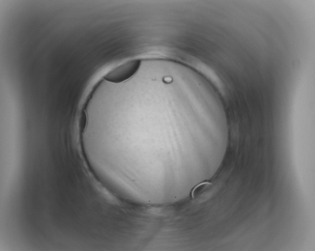 X0000111391480200907311104