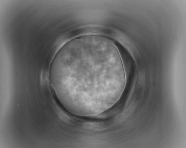 X0000111391481200907311104