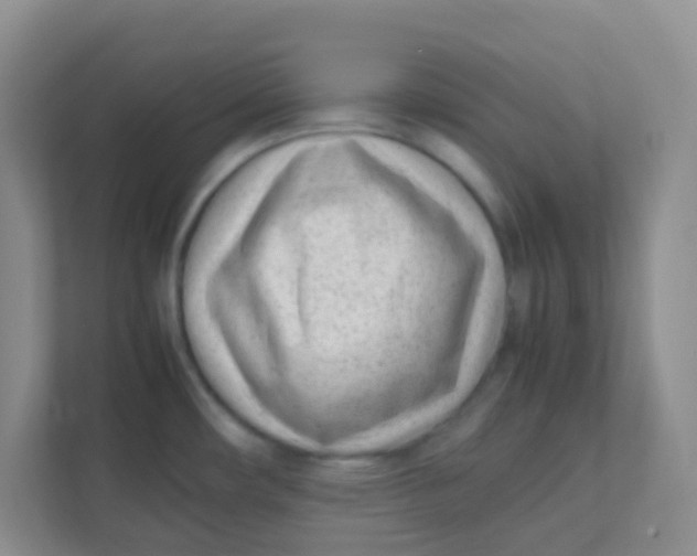 X0000111391482200907311103