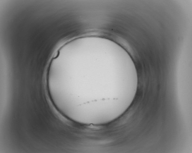 X0000111391483200907311103