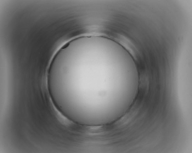 X0000111391484200907311103