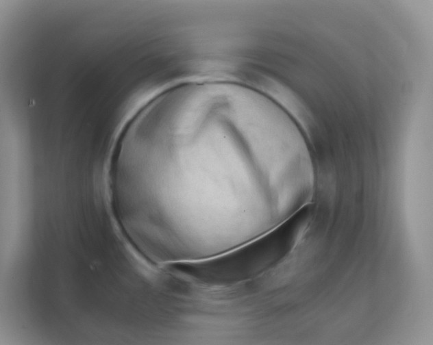 X0000111391485200907311103