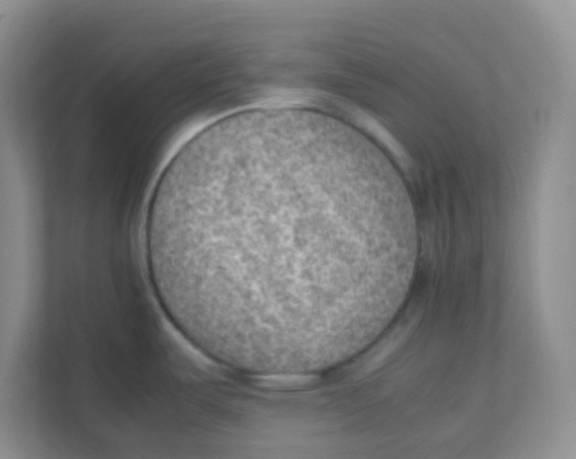 X0000111391487200907311103