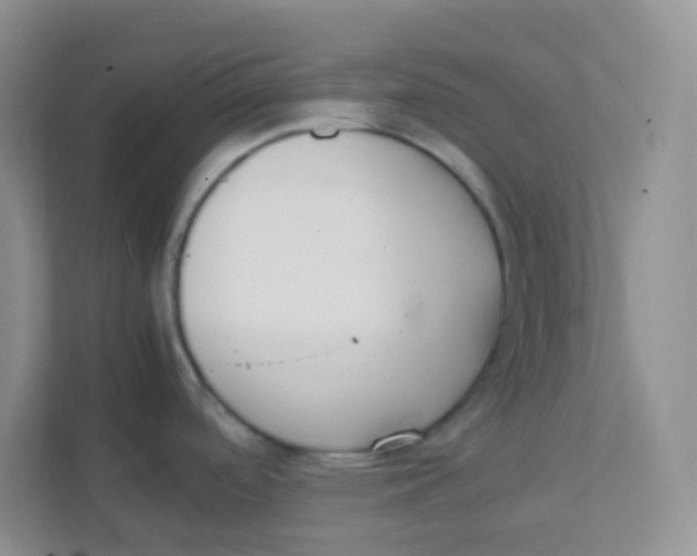 X0000111391488200907311103