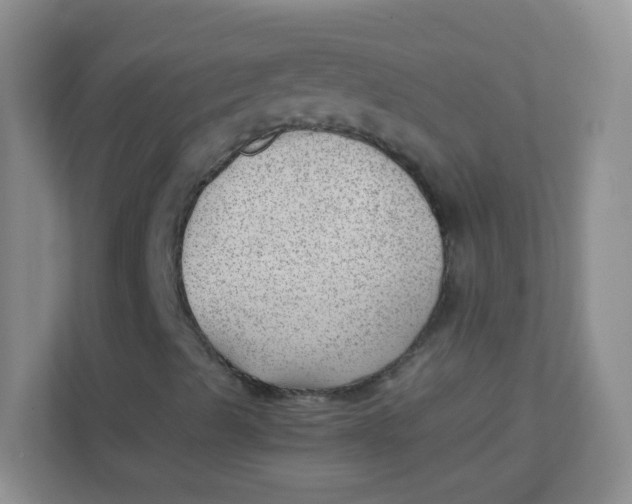 X0000111391489200907311103