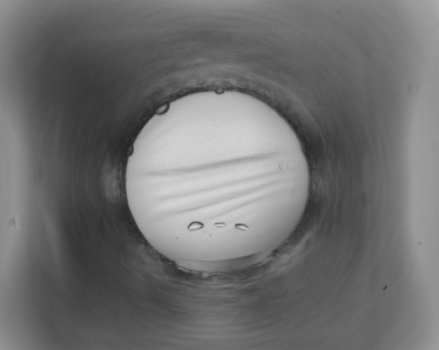 X0000111391490200907311103