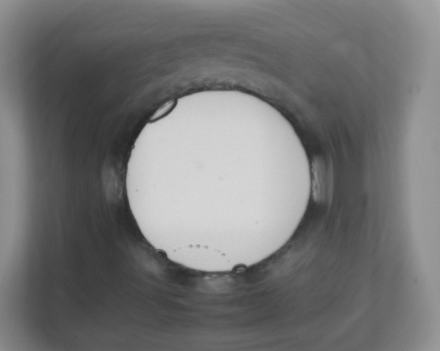 X0000111391491200907311103