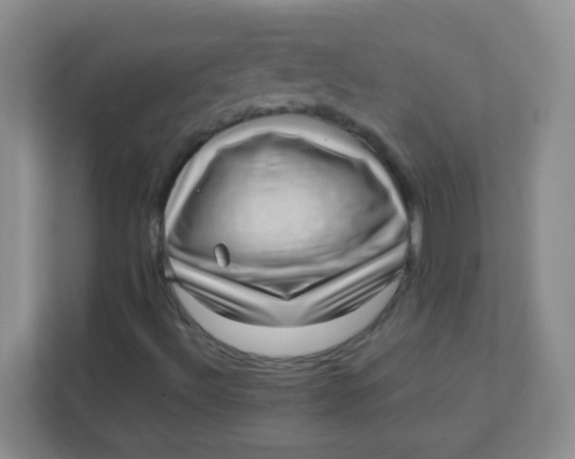 X0000111391492200907311103