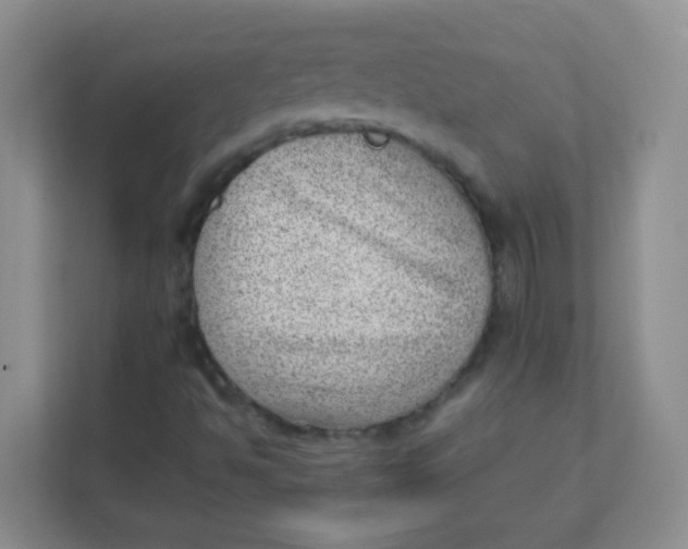 X0000111391494200907311103