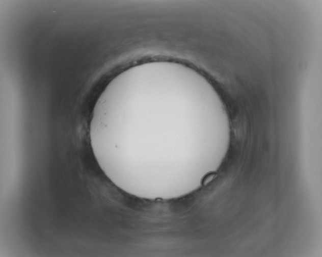 X0000111391495200907311103