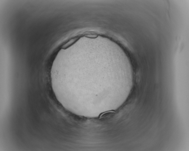 X0000111391496200907311103