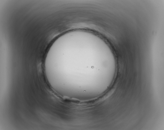 X0000111391497200907311103