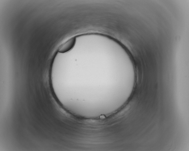 X0000111391500200907311103