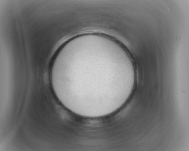 X0000111391501200907311103