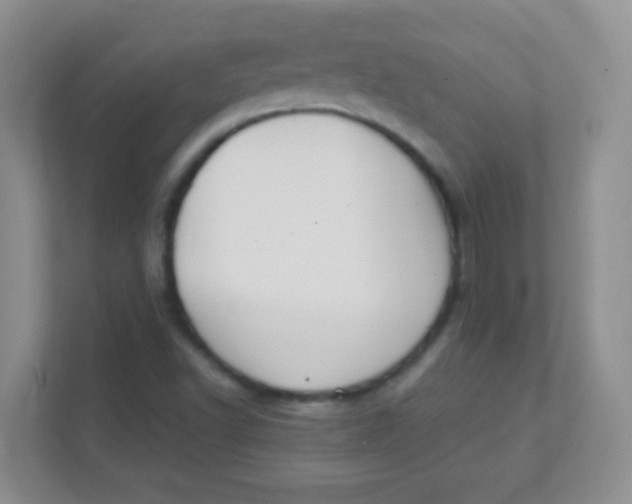 X0000111391502200907311103