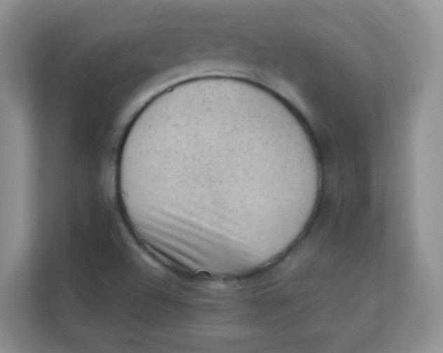 X0000111391504200907311103