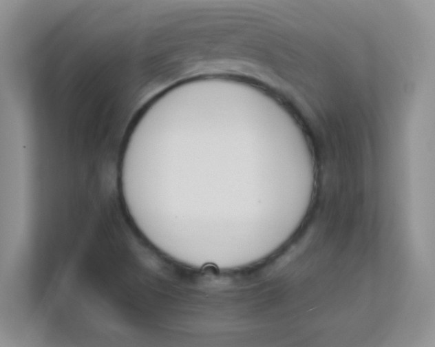 X0000111391505200907311103