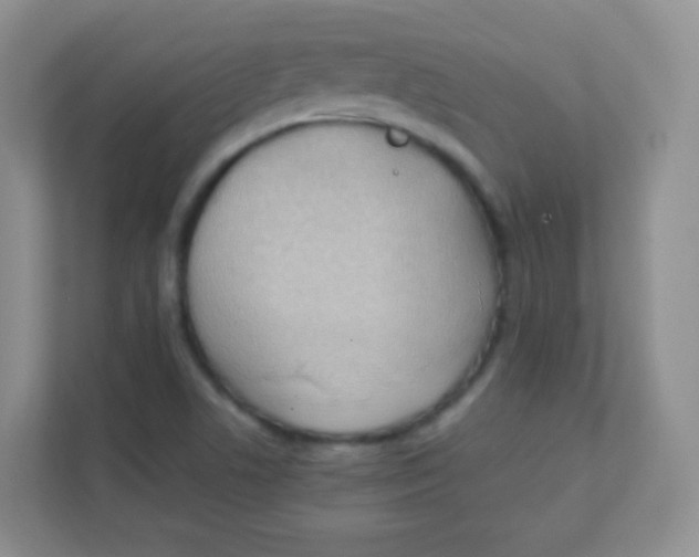 X0000111391506200907311103