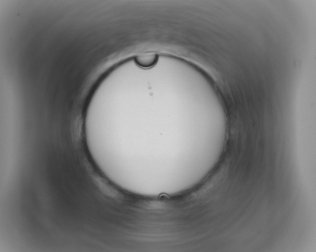 X0000111391507200907311103