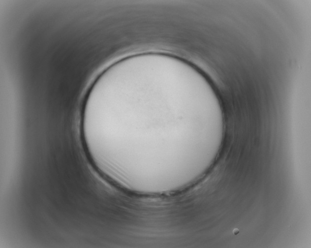 X0000111391508200907311103