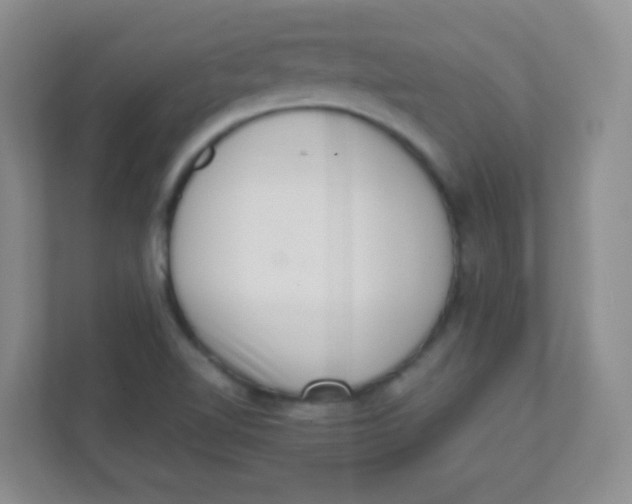 X0000111391510200907311103