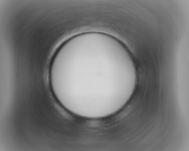 X0000111391511200907311103