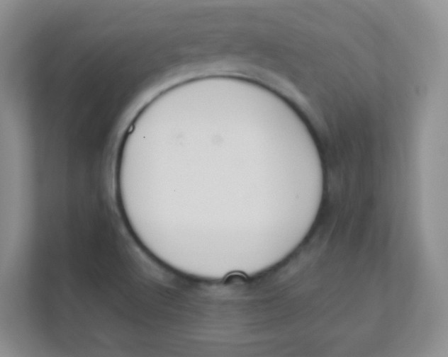 X0000111391512200907311103