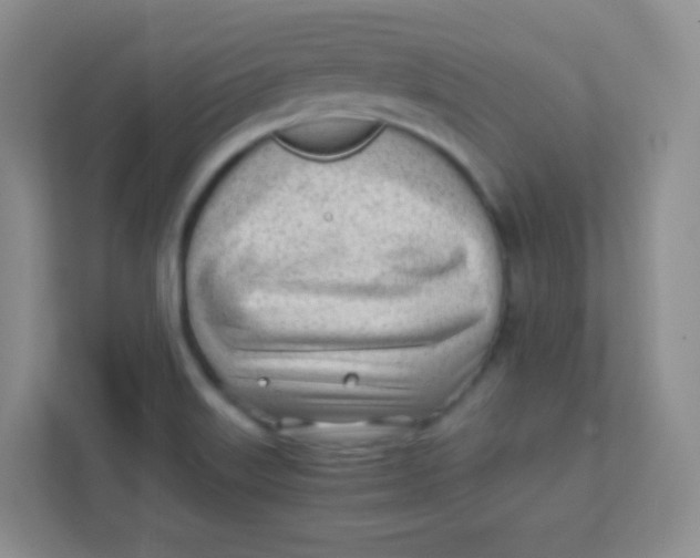 X0000111391515200907311103