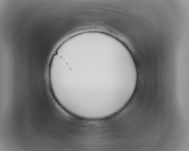 X0000111391516200907311103