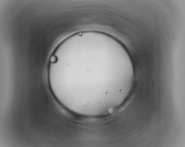 X0000111391517200907311103