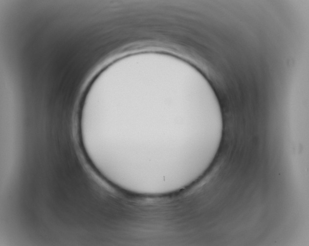 X0000111391518200907311103