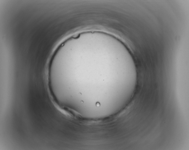 X0000111391519200907311103