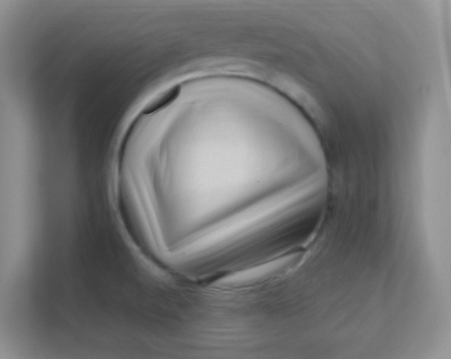 X0000111391520200907311103