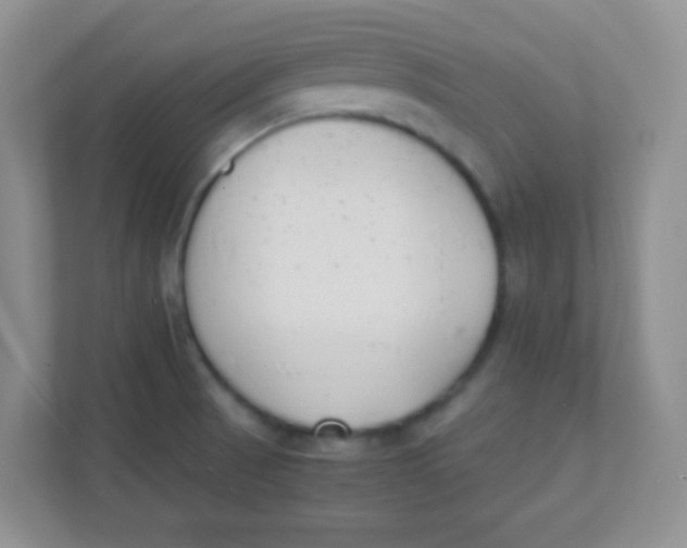 X0000111391521200907311103