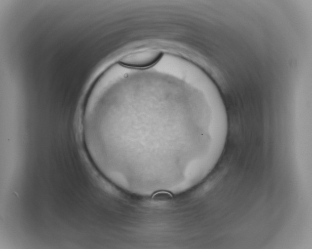 X0000111391522200907311103