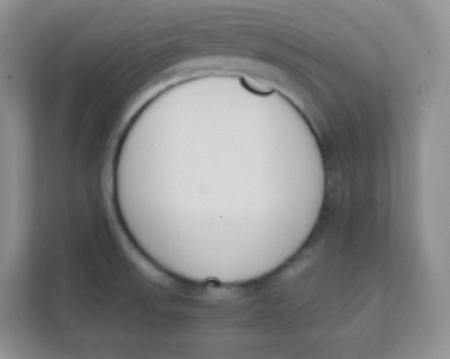 X0000111391523200907311103