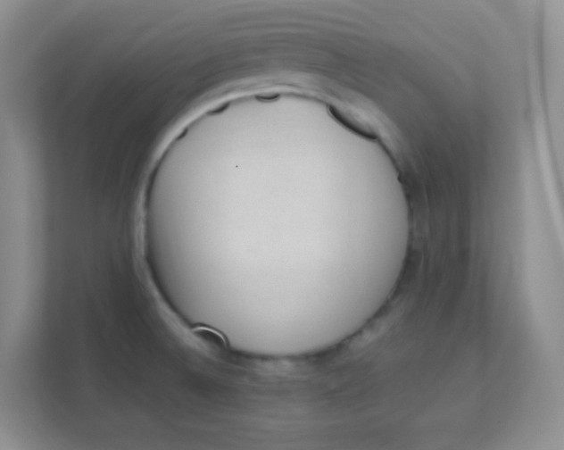 X0000111391524200907311103