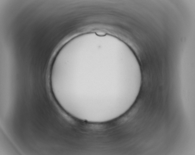 X0000111391525200907311103