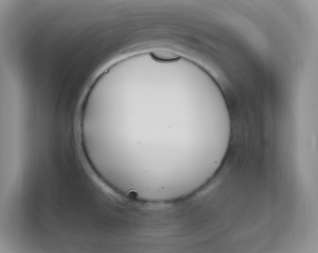 X0000111391526200907311103