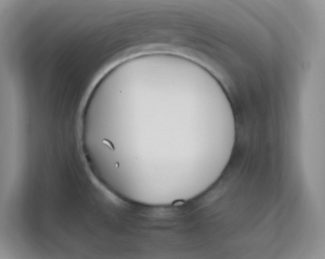 X0000111391527200907311103