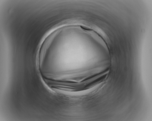 X0000111391528200907311103