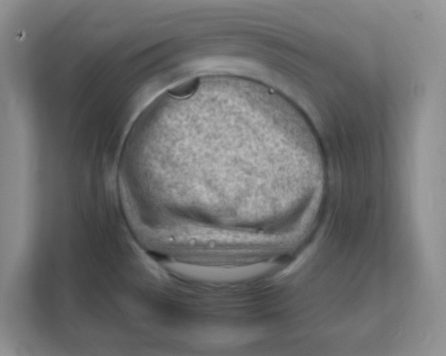 X0000111391529200907311103