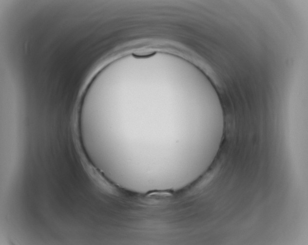 X0000111391530200907311103