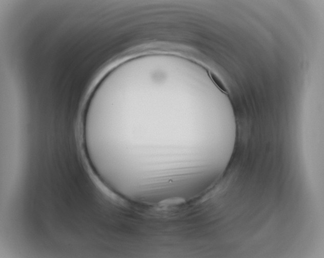 X0000111391531200907311103