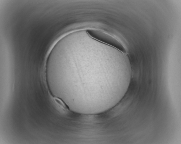 X0000111391532200907311103